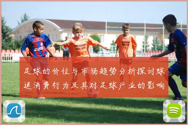 足球的价位与市场趋势分析探讨球迷消费行为及其对足球产业的影响