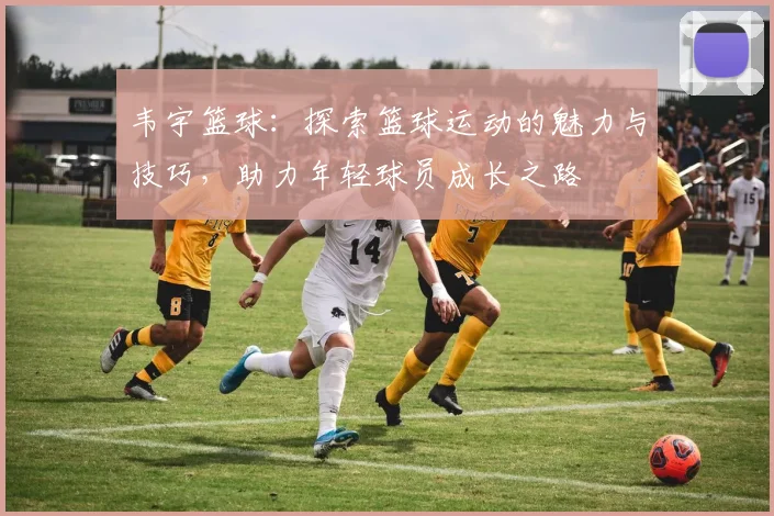 韦宇篮球：探索篮球运动的魅力与技巧，助力年轻球员成长之路