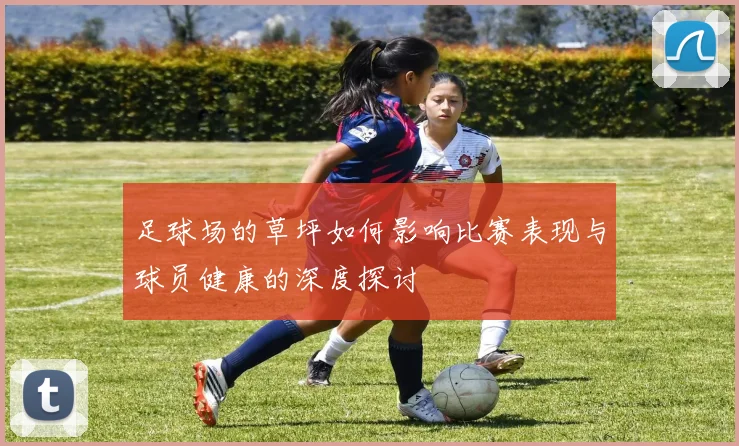 足球场的草坪如何影响比赛表现与球员健康的深度探讨