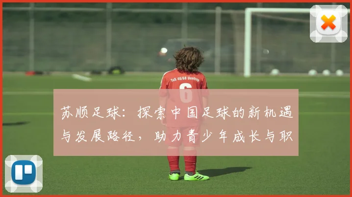 苏顺足球：探索中国足球的新机遇与发展路径，助力青少年成长与职业化进程